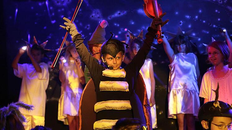 Die Aufführung: Maikäfer Sumsemann hat ein Beinchen verloren. Foto: Don-Bosco-Schule