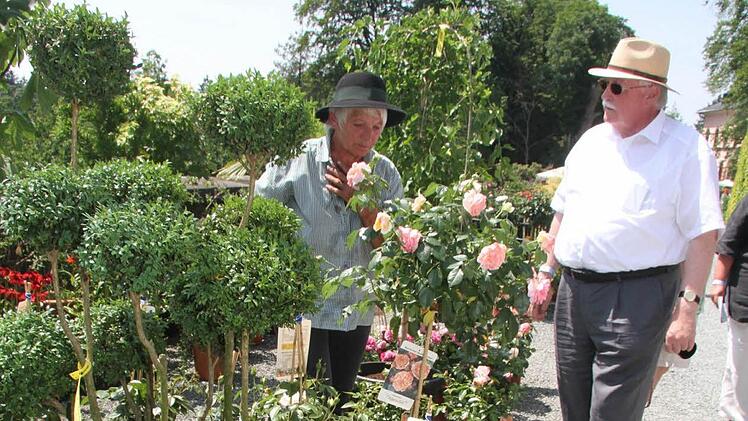 Regierungspräsident Wilhelm Wenning lässt sich über die besonderen Vorlieben von Rosen aufklären. Er liebt Rosen, hat auch eigene Rosenstämmchen im heimischen Garten - auch ein Stämmchen, das ihm ein bisschen Sorgen bereitet. Foto: Sonja Adam