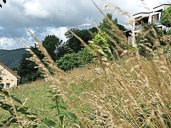Der Stadtrat hat den umstrittenen Bauantrag für ein Mehrfamilienhaus am Langeller 24 mehrheitlich befürwortet.