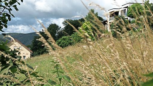 Der Stadtrat hat den umstrittenen Bauantrag für ein Mehrfamilienhaus am Langeller 24 mehrheitlich befürwortet.