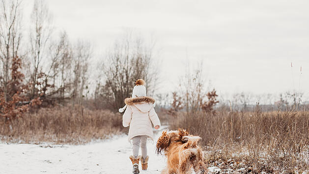 Kind, Hund, Winter, Schnee, Spielen