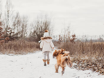 Kind, Hund, Winter, Schnee, Spielen