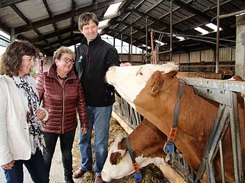 Robert Orts Kühe zeigten sich durchaus interessiert am Besuch von Martina Stamm-Fibich und Evi Derrer.Richard Sänger