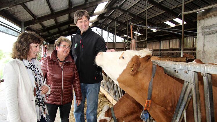 Robert Orts Kühe zeigten sich durchaus interessiert am Besuch von Martina Stamm-Fibich und Evi Derrer.Richard Sänger
