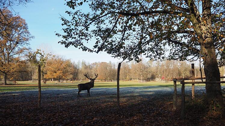 Der Interne Betrieb läuft normal weiter. Die Tiere werden täglich von ihren Pflegern versorgt.