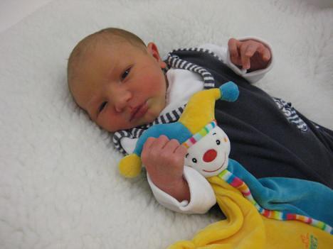 Babygalerie 129