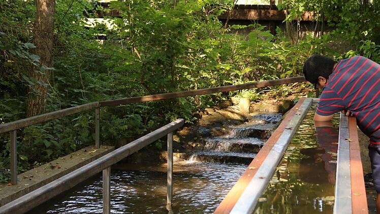 Instandgesetzt hat der Rugendorfer Bauhof im Lauf des Jahres die Kneippanlage am Badeweiher. Völlig neu installiert wurde dabei das Arm-Becken. Foto: Klaus Klaschka