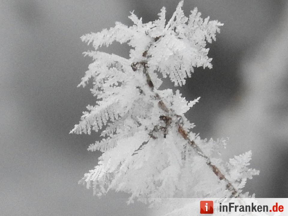 Eis und Schnee in Franken - die schönsten Winterleserfotos