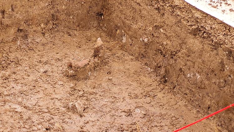 Sensationelle Entdeckung bei Grabung in Franken: Archäologen machen Steinzeit-Fund - "extrem selten"