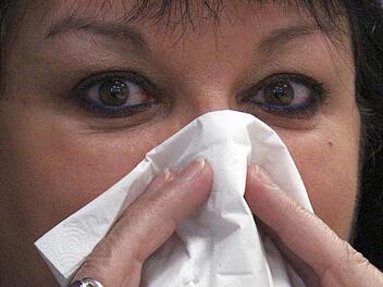 Mit Niesen, Husten, Heiserkeit geht es los. Foto: Josef Hofbauer