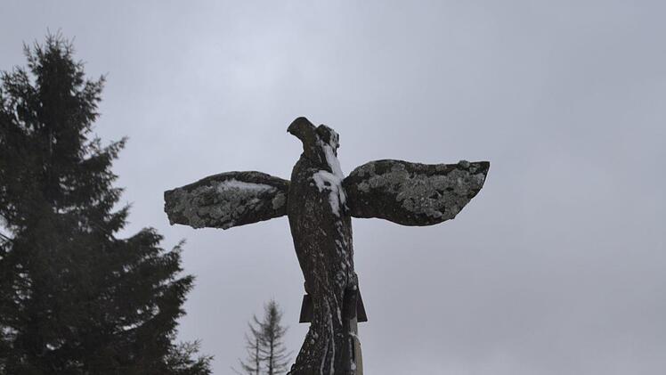 Festgefrorener Rh&ouml;n-Adler. Foto: Johannes Schlereth