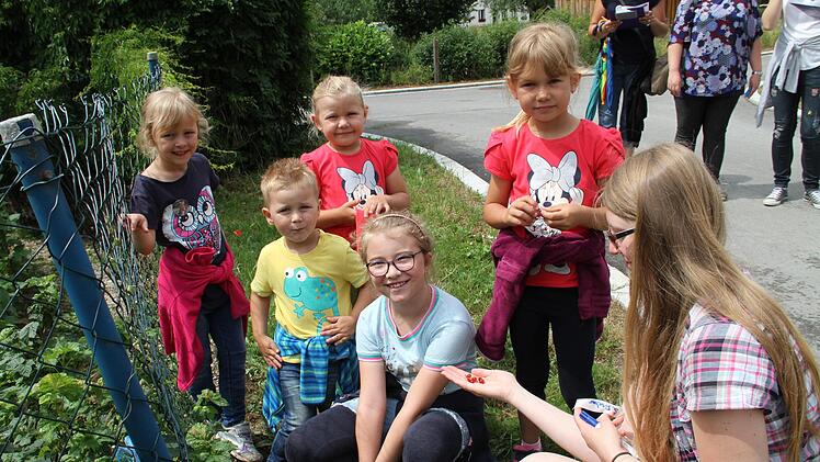 In Carolas Gemüsegarten waren Fragen zu Gemüsesorten und Beerensträucher zu beantworten.