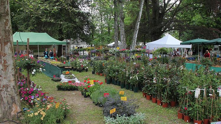 Am vergangenen Wochenende verwandelte sich der Park des Wasserschlosses Mitwitz beim 5. Fränkischen Gartenfest in ein Blütenmeer und Gartenparadies. Foto : Herbert Fischer