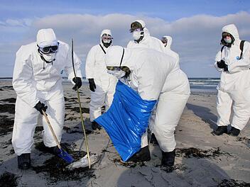 Bundeswehrsoldaten in Schutzanzügen sammelten im Februar 2006 den Flügel eines toten Wasservogels am Strand von Juliusruh auf der Insel Rügen ein. Foto: Jens Büttner, dpa