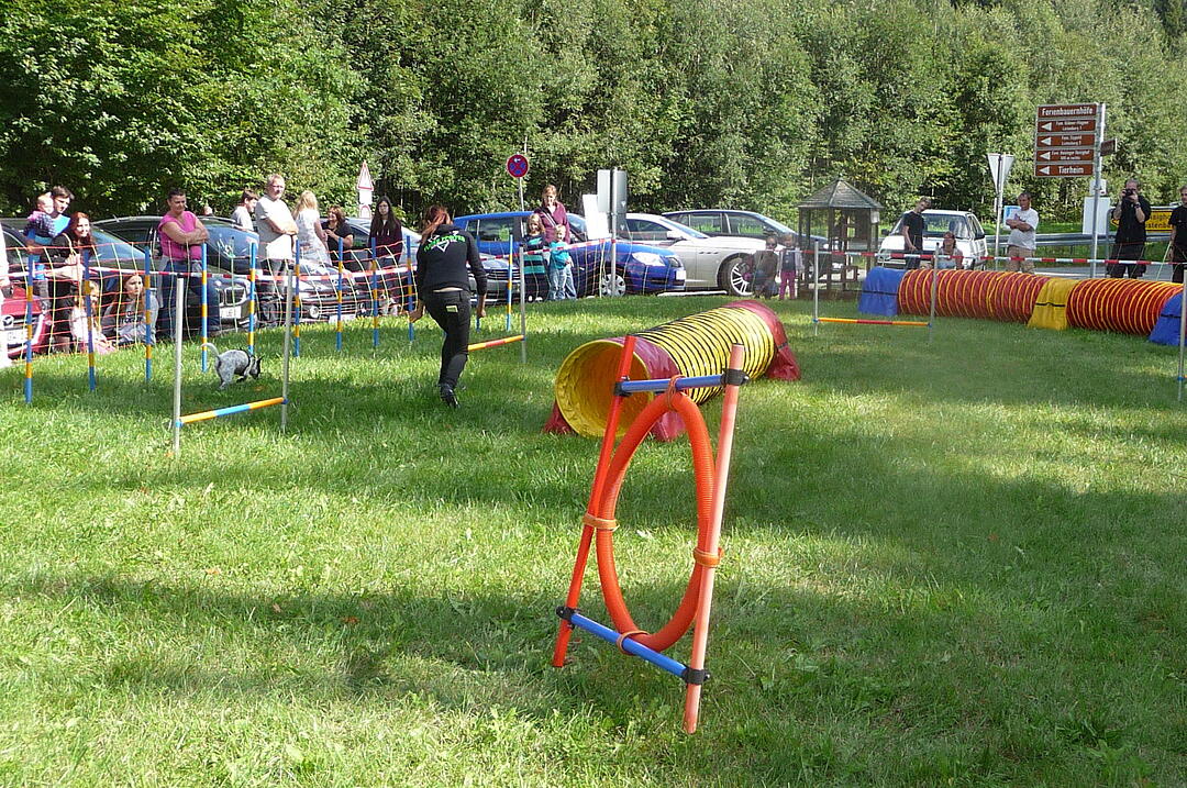 19.8.2017 Tierheimfest Kulmbach