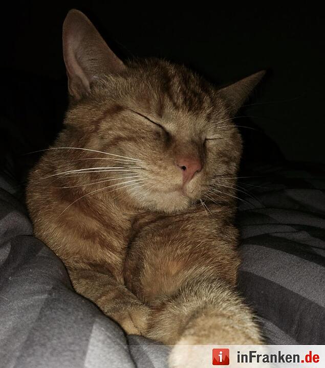 Foto: Eva Castella Gabriele