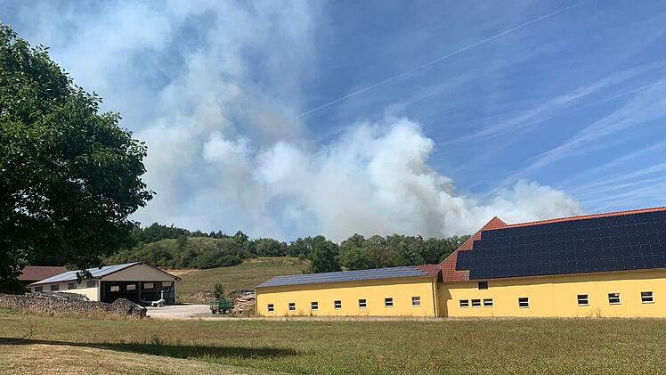 Waldbrand ruft Feuerwehr auf den Plan