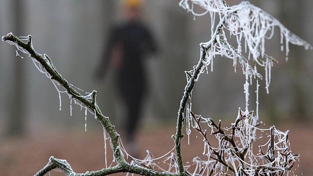 Ein Unbekannter hat ein Joggerin in M&uuml;nchen brutal vergewaltigt. Symbolfoto: Ingo Wagner, dpa