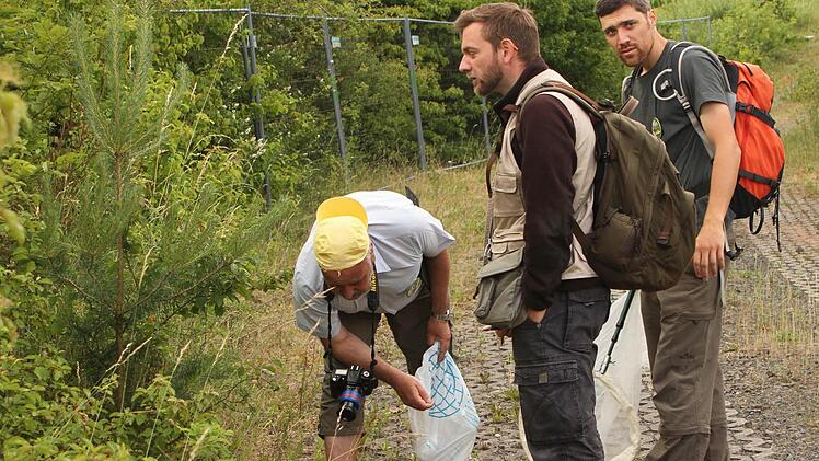 Was sie wohl suchen? "Nur" verschiedene Arten von Trockenrasen.