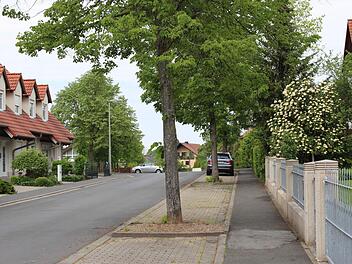 Die Schäden, die durch die Linden am Straßenrand verursacht werden, ziehen sich nicht nur über die gesamte Gehsteigbreite hin, sondern die Wurzeln arbeiten auch schon in den Gärten dahinter. Foto: Evi Seeger