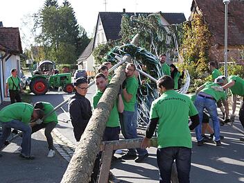 Beim Baumaufstellen in Pautzfeld Foto: Mathias Erlwein