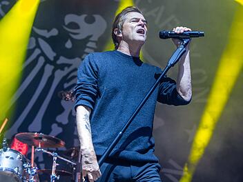 Die Toten Hosen