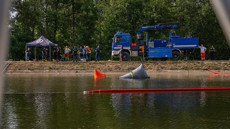 Spektakul&auml;rer Fund in Schwaben - 50 Jahre alter Manta aus Donau gefischt