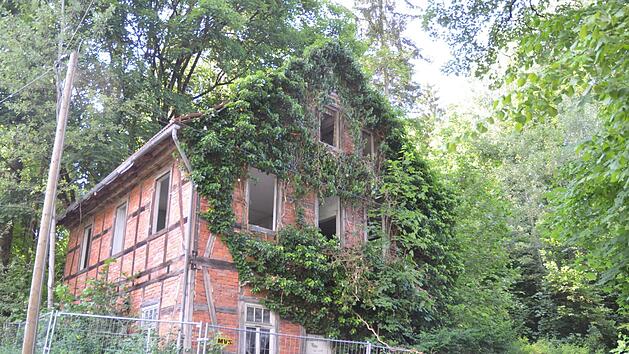 Unbekannte haben ein Dutzend Fenster aus dem Obergeschoss des Br&uuml;cknershauses in Wei&szlig;enbrunn gestohlen.Rainer Lutz