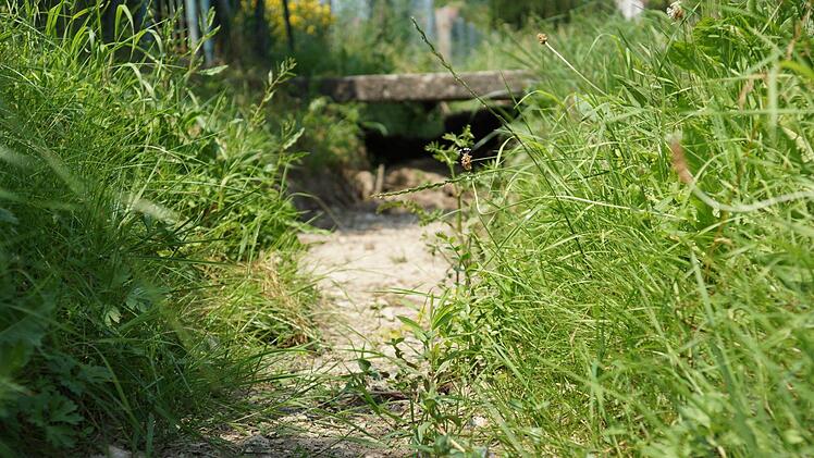 Die Dürre macht sich an der Oberfläche bemerkbar: Der Rechbach in Hammelburg ist im Bereich der Kleingärten ausgetrocknet. Foto: Guzy