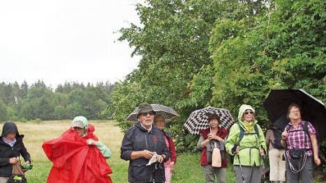 Leider waren auch die offenen Fernen wolkenverhangen, so dass die Wanderer die schönen Aussichten nicht genießen konnten.  Foto: Hans-Jürgen Neumann