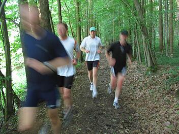 Diese Laufgruppe ist im Michelsberger Wald bei Bamberg unterwegs. Wollen Sie mit ihrer Gruppe verschiedene Strecken im Landkreis Lichtenfels ausprobieren? Dann bewerben Sie sich als Laufgruppe für unsere "Aktivwochen". Wir begleiten Sie auf Ihrem Weg.  Foto: Michael Wehner