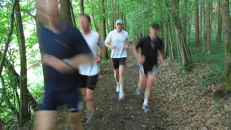 Diese Laufgruppe ist im Michelsberger Wald bei Bamberg unterwegs. Wollen Sie mit ihrer Gruppe verschiedene Strecken im Landkreis Lichtenfels ausprobieren? Dann bewerben Sie sich als Laufgruppe für unsere "Aktivwochen". Wir begleiten Sie auf Ihrem Weg.  Foto: Michael Wehner