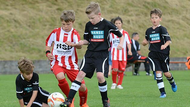 In der vergangenen Saison haben auch die Nachwuchskicker um Titel gek&auml;mpft. Am Montag werden sie in Zirndorf belohnt. Foto: Archiv