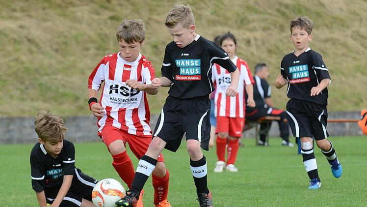 In der vergangenen Saison haben auch die Nachwuchskicker um Titel gek&auml;mpft. Am Montag werden sie in Zirndorf belohnt. Foto: Archiv