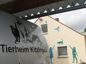 Das Tierheim Kitzingen