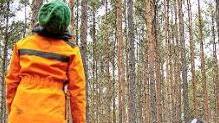 Dürre, Hitze und Stürme setzen dem Wald zu. Die IG Bau fordert mehr Forstpersonal, um denklimagerechten Waldumbau voranzubringen. Foto: IG Bau