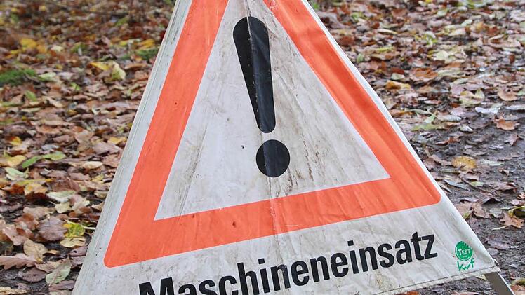 Stadtförster Alexander Maunz erklärt, warum ein Rundumschlag dem Wald neue Kraft verleiht und warum Kroatien für den Kissinger "Wald der Zukunft" Vorbild sein kann. Foto: Carmen Schmitt
