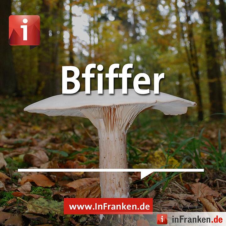 Tag der Muttersprache: Fränkisch zum Teilen