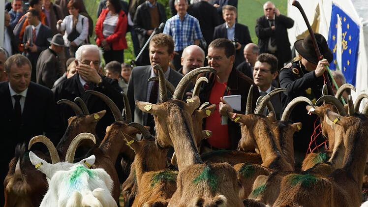 Männer, die auf Ziegen starren: Staatsminister Marcel Huber (links) öffnet den Zaun des Geheges. Foto: Arkadius Guzy