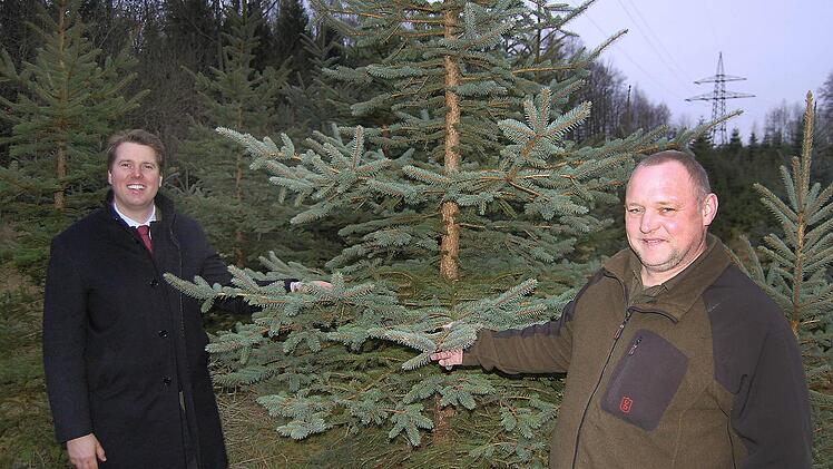 Wenn Bäume unter Strom stehen: Hubertus Prinz von Sachsen-Coburg und Gotha (links) und Förster Christoph Schießer freuen sich, dass die Fläche unter der Hochspannungsleitung sinnvoll und ökologisch genutzt werden kann. Fotos: Oliver Schmidt