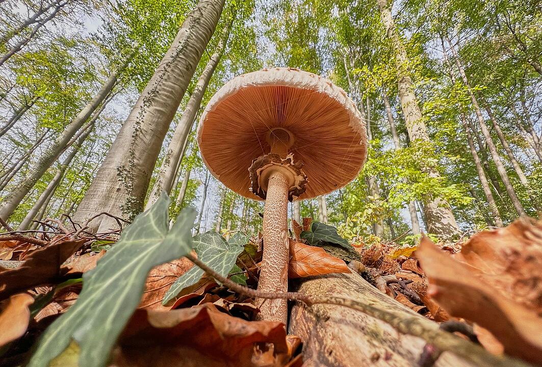 Herbst in Niedersachsen