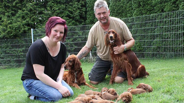 Jessica und Matthias Seufert mit der ganzen Hundebande.