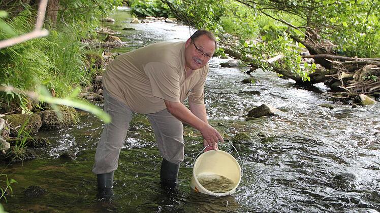 Geschafft! Bei Neufriedrichsthal bei Wildflecken setzt Armin Sauermann die Fische aus. Foto: Ulrike Müller