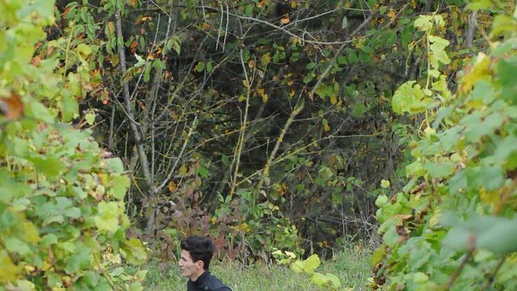 Impressionen vom Weinberglauf des SV Ramsthal.ssp