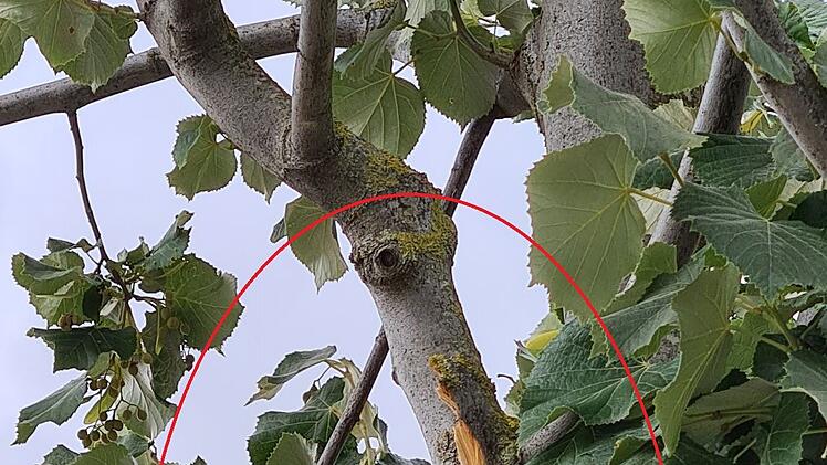 Bildnachweis: S&ouml;r / Stadt N&uuml;rnberg