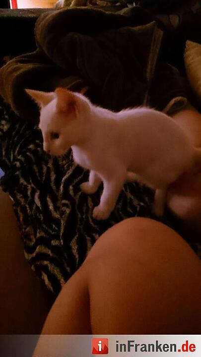 Foto: Sigourney Belger