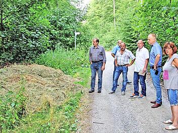 Am Wegrand hinter dem Friedhof von Burghausen in Richtung Michelsberg wird immer wieder Grüngut in größeren Mengen abgelagert. "Kein schöner Anblick, zumal der Weg Teil des Premium-Wanderweges ist", klagte Bürgermeister Helmut Blank (dritter von rechts) bei einem Ortstermin vor der Bürgerversammlung. Neben ihm Ortssprecher Klaus Görlinger. Ganz rechts Stadtrat Klaus Schebler.  Foto: Dieter Britz