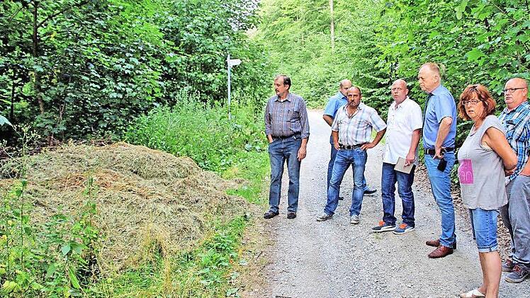Am Wegrand hinter dem Friedhof von Burghausen in Richtung Michelsberg wird immer wieder Grüngut in größeren Mengen abgelagert. "Kein schöner Anblick, zumal der Weg Teil des Premium-Wanderweges ist", klagte Bürgermeister Helmut Blank (dritter von rechts) bei einem Ortstermin vor der Bürgerversammlung. Neben ihm Ortssprecher Klaus Görlinger. Ganz rechts Stadtrat Klaus Schebler.  Foto: Dieter Britz