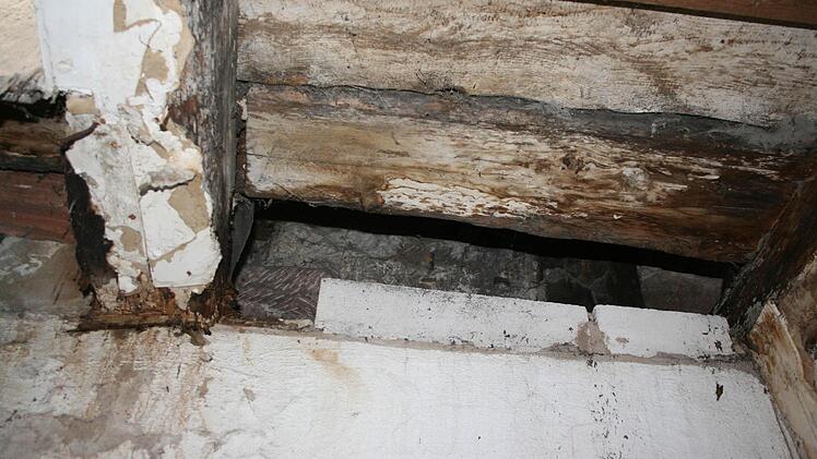 Foto: Veronika Schadeck