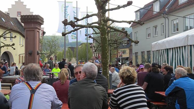 Blick auf den Marktplatz mit Maibaum - in der Verlängerung einer Platane. Foto: Doris Bauer